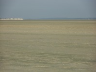 Baie De Somme Juillet 2012 151